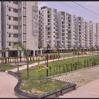 Properties For Rent In Bptp Park Elite Floors Ii Sector 85