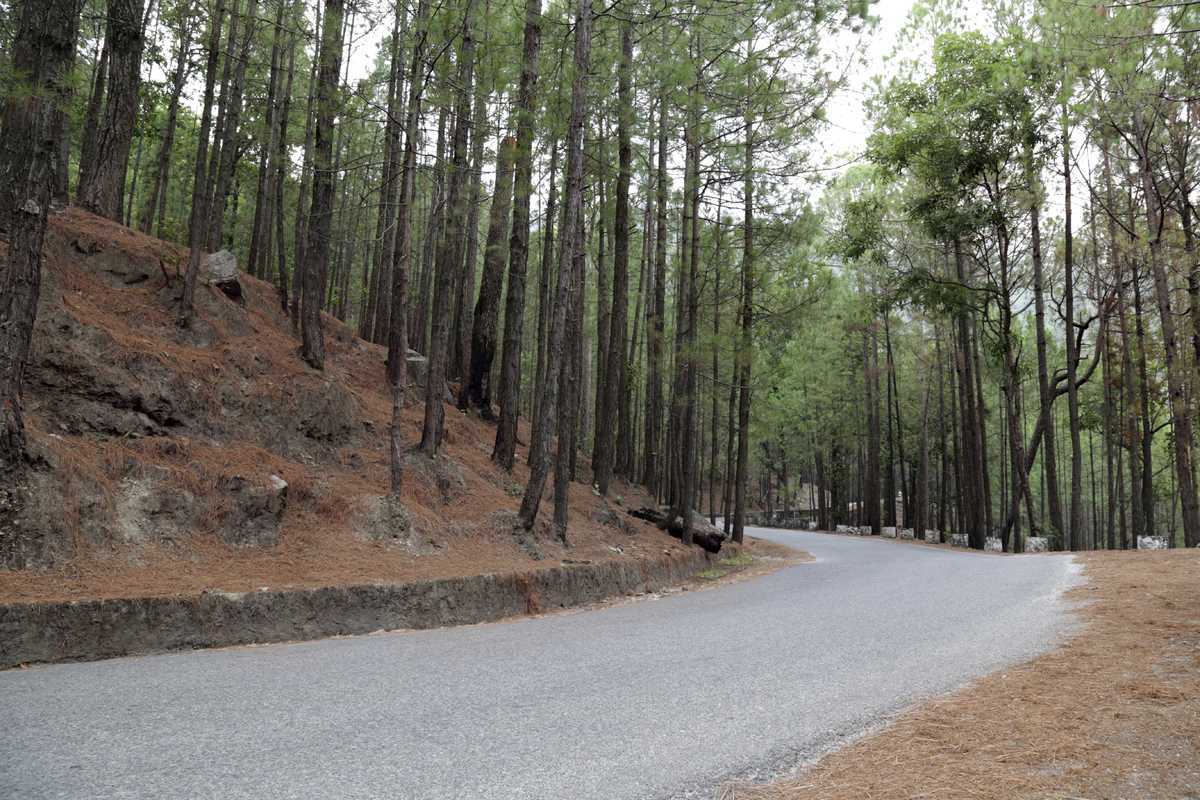 Shimla Real Estate Property In Shimla